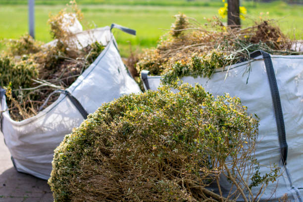 Best Affordable Junk Removal Services  in Parkville, MO